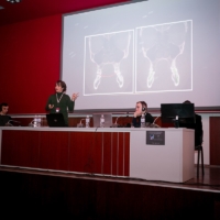 2nd International Symposium of Functional Dentistry, Lviv, Ukraine Dr Dania Tamimi